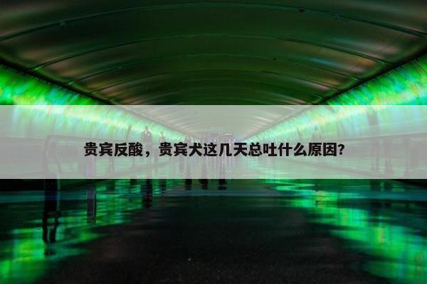 贵宾反酸，贵宾犬这几天总吐什么原因?