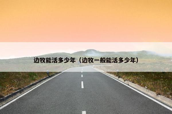 边牧能活多少年（边牧一般能活多少年）