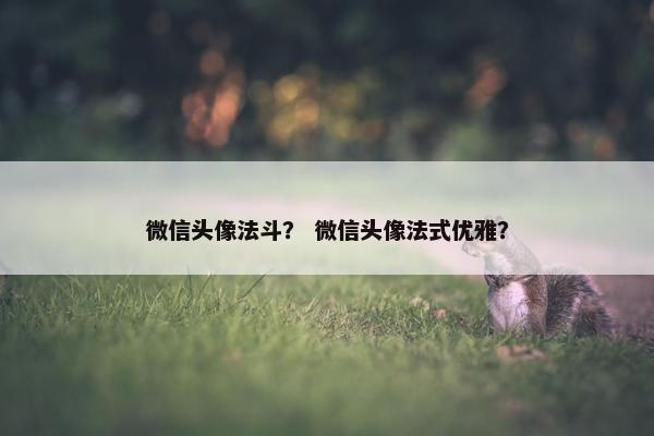 微信头像法斗？ 微信头像法式优雅？