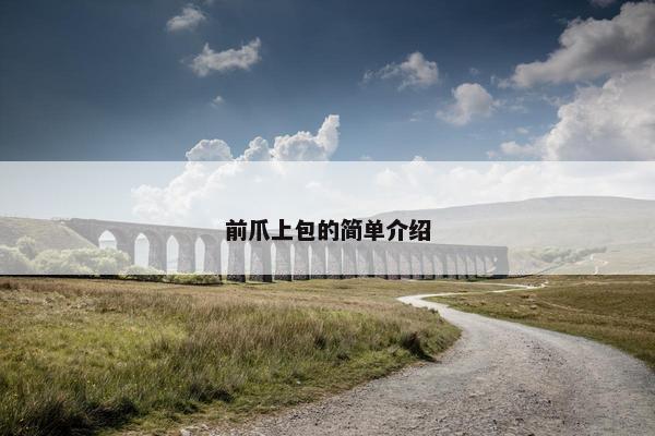 前爪上包的简单介绍