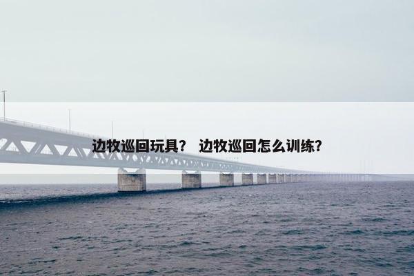 边牧巡回玩具？ 边牧巡回怎么训练？
