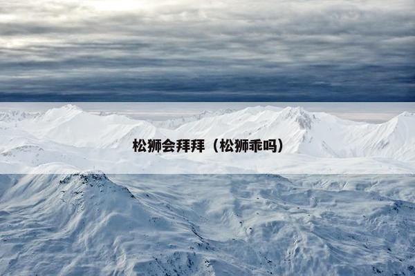 松狮会拜拜（松狮乖吗）