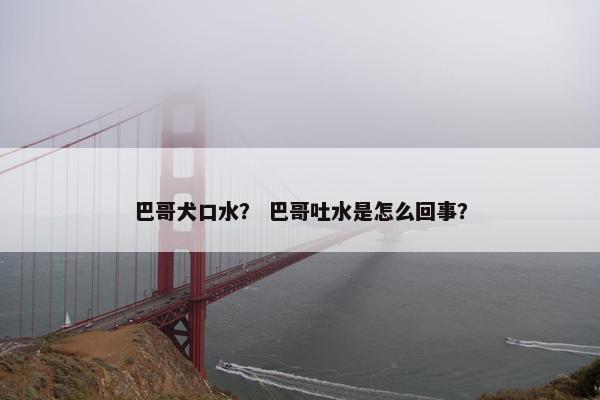 巴哥犬口水？ 巴哥吐水是怎么回事？