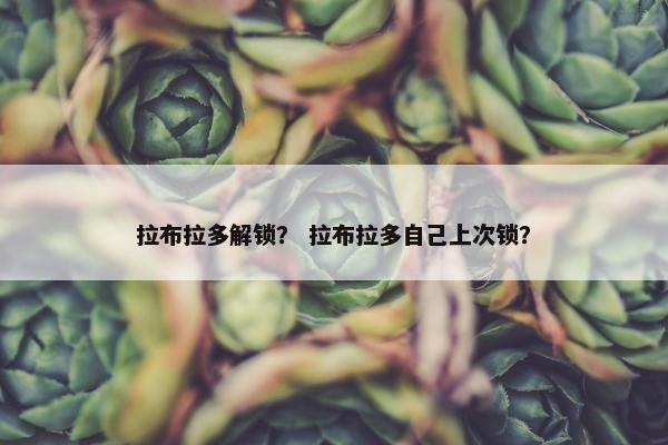 拉布拉多解锁？ 拉布拉多自己上次锁？