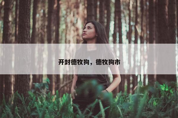 开封德牧狗，德牧狗市