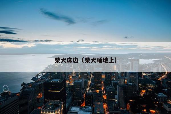 柴犬床边（柴犬睡地上）