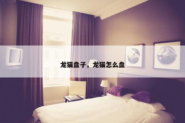 龙猫盘子，龙猫怎么盘
