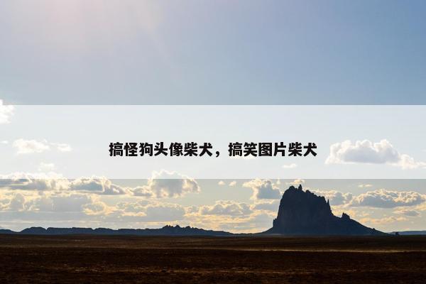 搞怪狗头像柴犬，搞笑图片柴犬