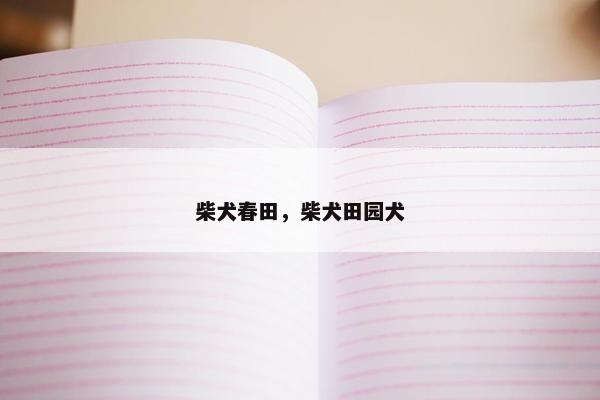 柴犬春田，柴犬田园犬