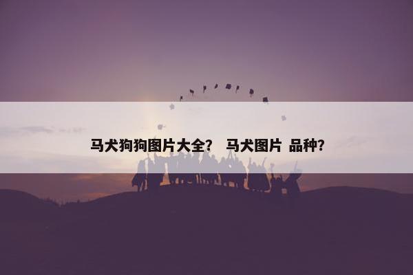 马犬狗狗图片大全？ 马犬图片 品种？