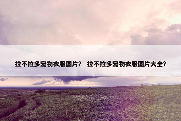 拉不拉多宠物衣服图片？ 拉不拉多宠物衣服图片大全？