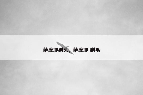 萨摩耶剔头，萨摩耶 剃毛