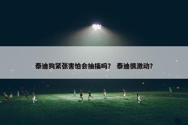 泰迪狗紧张害怕会抽搐吗？ 泰迪很激动？