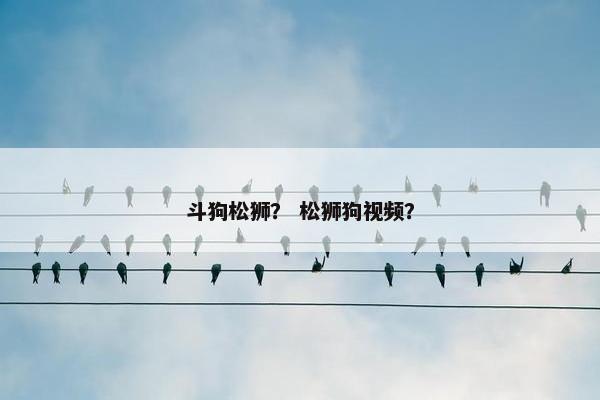 斗狗松狮？ 松狮狗视频？