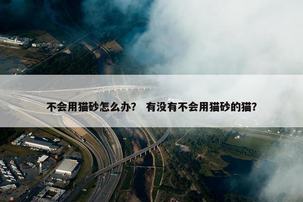 不会用猫砂怎么办？ 有没有不会用猫砂的猫？