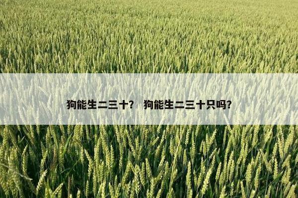 狗能生二三十？ 狗能生二三十只吗？