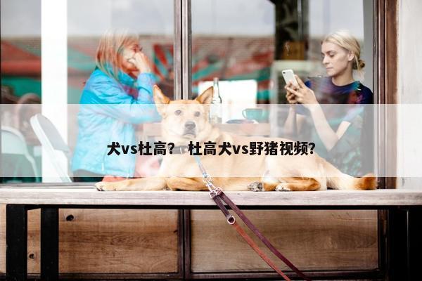 犬vs杜高？ 杜高犬vs野猪视频？