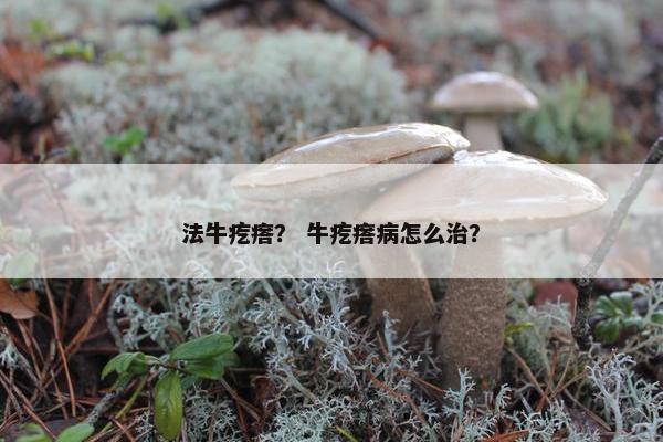法牛疙瘩？ 牛疙瘩病怎么治？