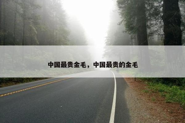 中国最贵金毛，中国最贵的金毛