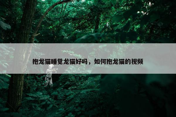 抱龙猫睡觉龙猫好吗，如何抱龙猫的视频