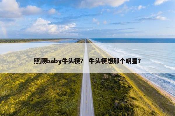 照顾baby牛头梗？ 牛头梗想那个明星？