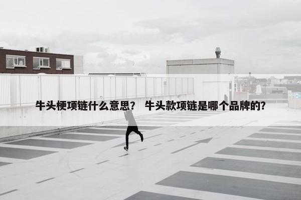 牛头梗项链什么意思？ 牛头款项链是哪个品牌的？