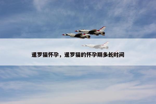 暹罗猫怀孕，暹罗猫的怀孕期多长时间