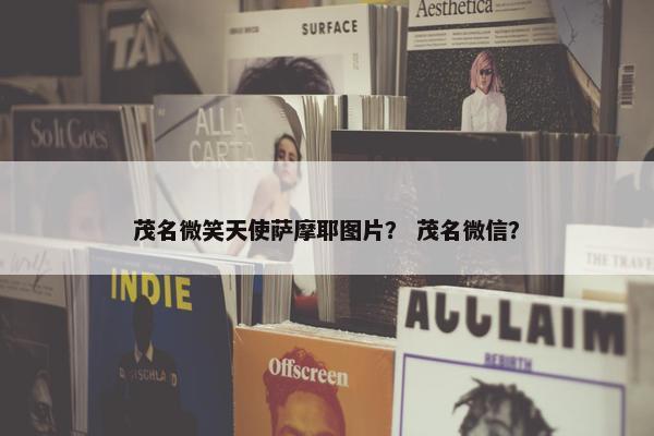 茂名微笑天使萨摩耶图片？ 茂名微信？