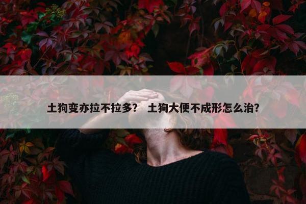 土狗变亦拉不拉多？ 土狗大便不成形怎么治？