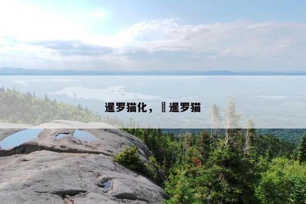 暹罗猫化， 暹罗猫