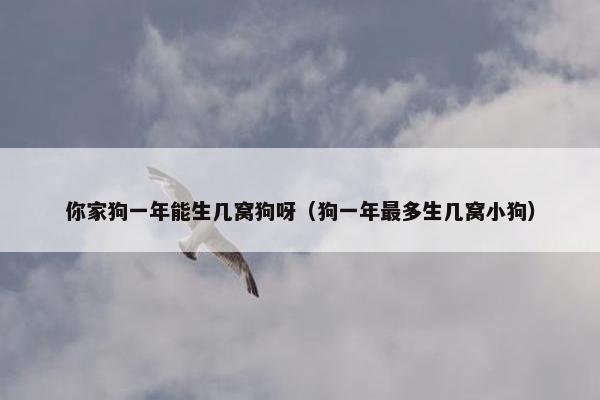 你家狗一年能生几窝狗呀（狗一年最多生几窝小狗）