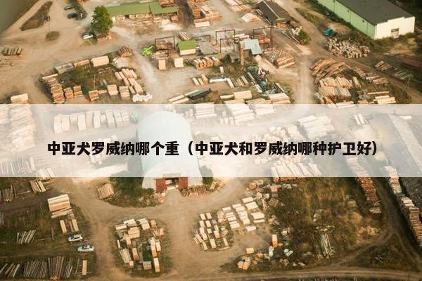 中亚犬罗威纳哪个重（中亚犬和罗威纳哪种护卫好）