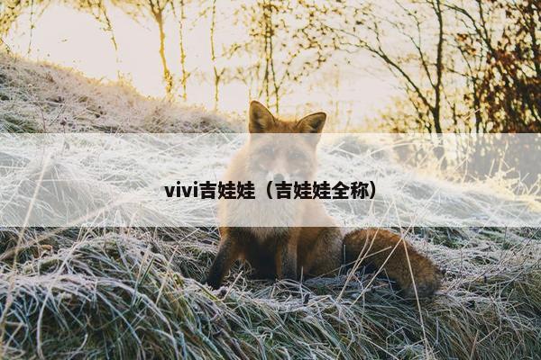 vivi吉娃娃（吉娃娃全称）