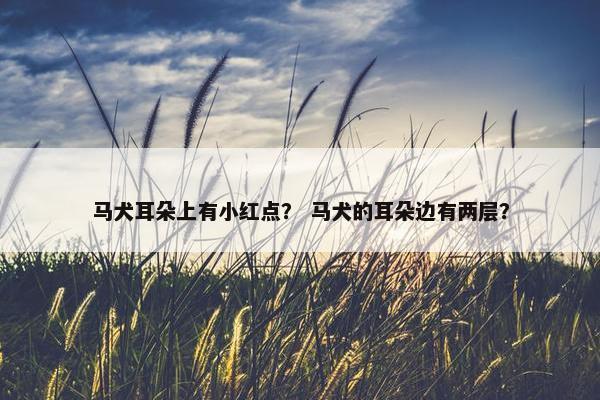 马犬耳朵上有小红点？ 马犬的耳朵边有两层？