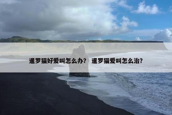 暹罗猫好爱叫怎么办？ 暹罗猫爱叫怎么治？