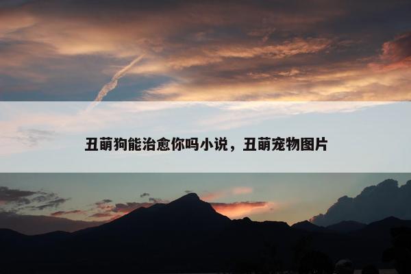 丑萌狗能治愈你吗小说，丑萌宠物图片