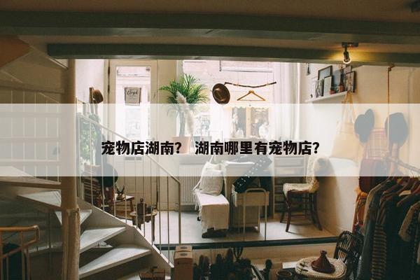 宠物店湖南？ 湖南哪里有宠物店？