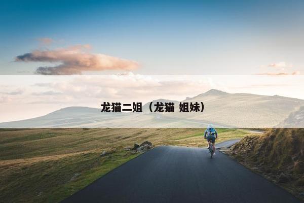 龙猫二姐（龙猫 姐妹）