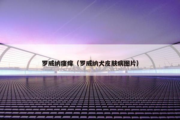 罗威纳瘙痒（罗威纳犬皮肤病图片）