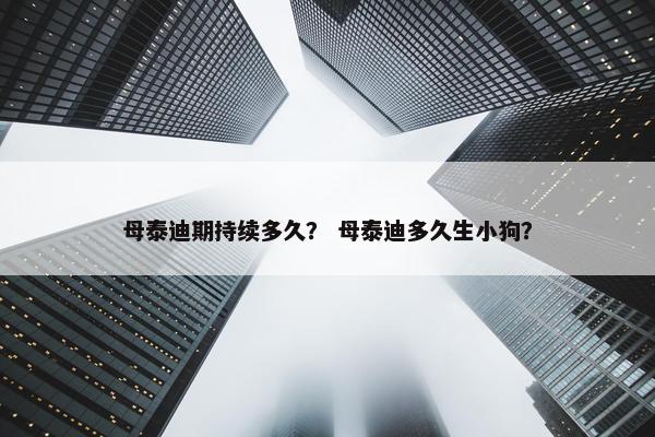 母泰迪期持续多久？ 母泰迪多久生小狗？