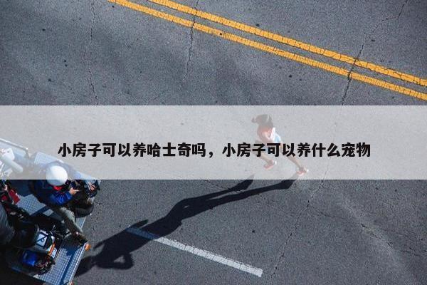 小房子可以养哈士奇吗，小房子可以养什么宠物