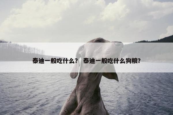 泰迪一般吃什么？ 泰迪一般吃什么狗粮？