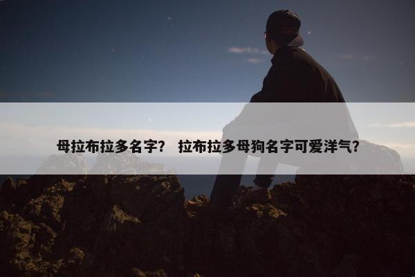 母拉布拉多名字？ 拉布拉多母狗名字可爱洋气？