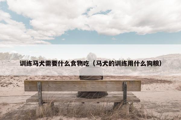 训练马犬需要什么食物吃（马犬的训练用什么狗粮）