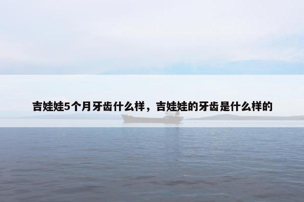 吉娃娃5个月牙齿什么样，吉娃娃的牙齿是什么样的