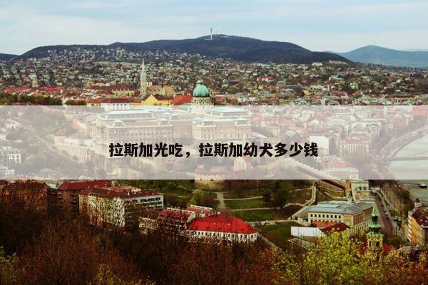 拉斯加光吃，拉斯加幼犬多少钱