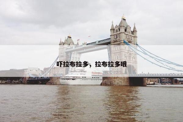 吓拉布拉多，拉布拉多哦