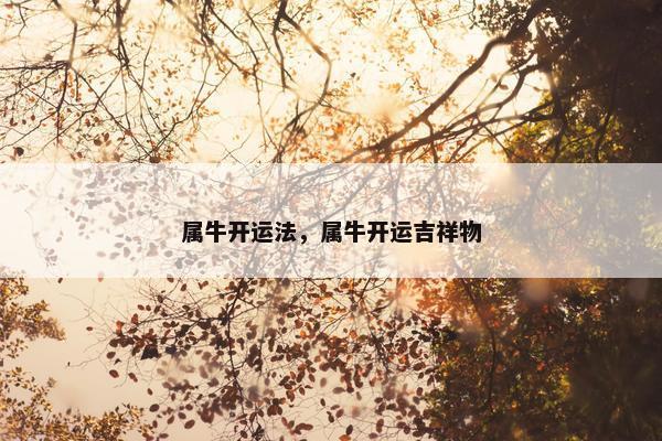 属牛开运法，属牛开运吉祥物