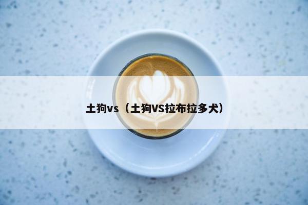 土狗vs（土狗VS拉布拉多犬）