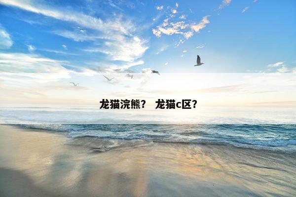 龙猫浣熊？ 龙猫c区？